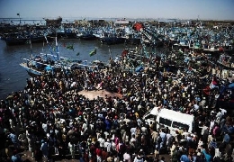 Giant whale shark washed ashore in pakistan