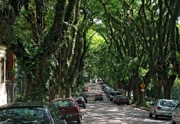 Most beautiful street in the world?