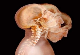 Amazing photos of human body