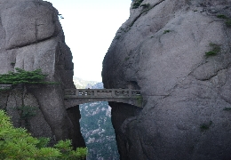 The bridge of immortals