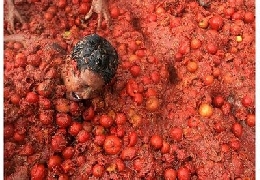 La tomatina