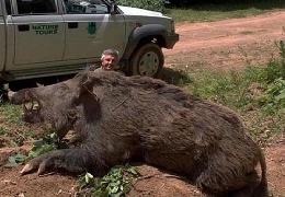 Biggest boar ever